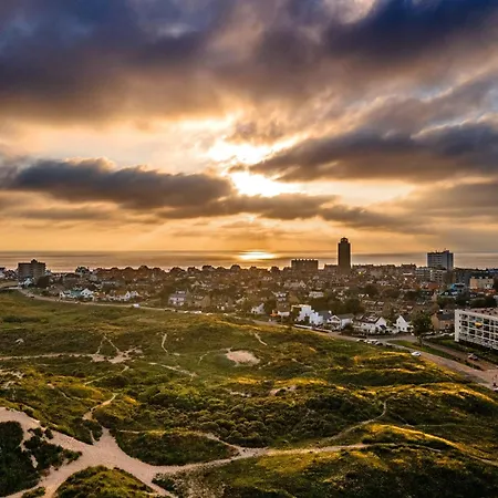The Dunes Lejlighed *